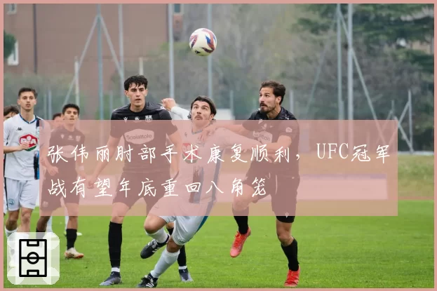 张伟丽肘部手术康复顺利,UFC冠军战有望年底重回八角笼