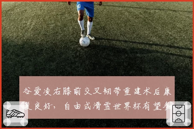 谷爱凌右膝前交叉韧带重建术后康复良好,自由式滑雪世界杯有望参赛