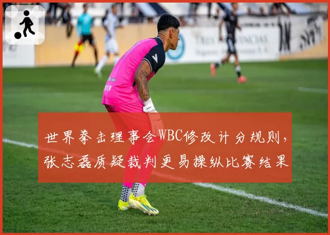 世界拳击理事会WBC修改计分规则,张志磊质疑裁判更易操纵比赛结果