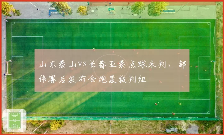 山东泰山vs长春亚泰点球未判，郝伟赛后发布会炮轰裁判组