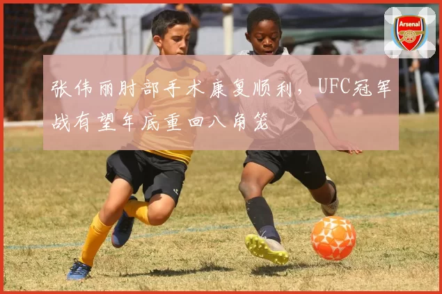 张伟丽肘部手术康复顺利,UFC冠军战有望年底重回八角笼